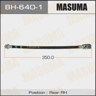 MASUMA BH6401