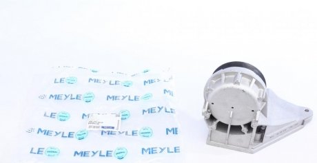 Опора двигуна MEYLE 100 199 0018 (фото 1)