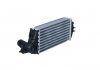 CHLODNICA INTERCOOLER NRF 309032 (фото 2)