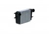 CHLODNICA INTERCOOLER NRF 30987 (фото 4)