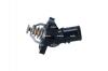 TERMOSTAT NRF 725301 (фото 1)