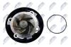 НАСОС РІДИНИ СИСТЕМИ ОХОЛОДЖЕННЯ | CITROEN NEMO 1.3HDI 10-, PEUGEOT BIPPER 1.3HDI 10-, FORD KA 1.3 TDCI 08- NTY CPWCT036 (фото 4)