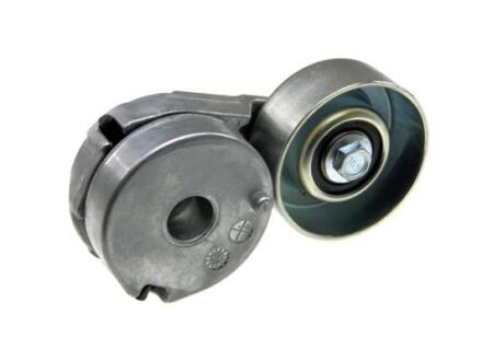 НАТЯЖНИК РЕМЕНЯ ПОТІЧНОВОГО | NISSAN QASHQAI 2.0I 16V 2006.12-, X-TRAIL T31 2.0I 16V 2007.03- NTY RNKNS008