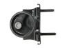 ПОДУШКА ДВИГУНА | ENG.2.0,2.0D,2.4 TOYOTA RAV-4 A2 01-05 /ЗАД/ ZPSTY125