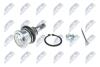 ШАРОВА ОПОРА ПІДВІСКИ | TOYOTA YARIS 99-05-, URBAN CRUISER 09-, VERSO 10-, IQ 08- /ПЕРЕД НИЗ/ NTY ZSDTY028 (фото 2)