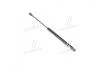 Амортизатор багажника (вір-во Parts-Mall) PQA-249