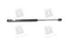 Амортизатор багажника AVEO T200 HB (вир-во Parts-Mall) PQC-202