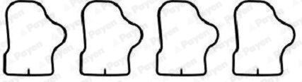 Комплект прокладок гумових Payen HA5071