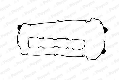 Набір прокладок клап.кришки Payen HM5070 (фото 1)