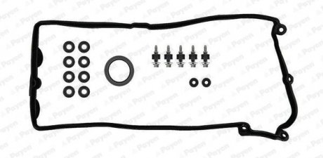 Набір прокладок клап.кришки Payen HM5296 (фото 1)