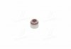 Уплотнительное кольцо стержень кла Payen PA5020 (фото 1)