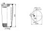 Пневмоподушка PHOENIX 1DF19B1NP (фото 4)