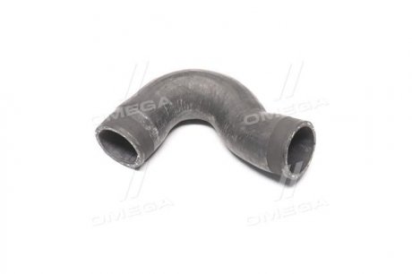 Патрубок інтеркулера Octavia/Golf 1.9 D 96- Rapro 25232