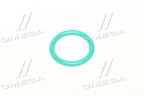 Кольцо форсунки MB RIDER RD.2430210081 (фото 1)