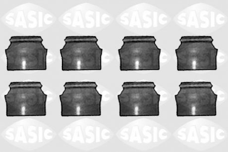 Набор прокладок, стержень клапана SASIC 9560380S (фото 1)