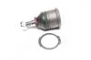 Опора кульова (передня/знизу) Honda Civic V/VI/CRX III 91-01 47284