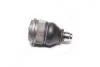 Опора кульова (передня/знизу) Ford Maverick/Mazda 626/323 91- 51183