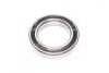 Подшипник шариковый 6013 2RS1 (65х100х18) SKF 6013-2RS1 (фото 2)