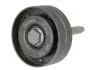 Ролик паразитний SEAT/SKODA/VW Alhambra/Fabia/Beetle/Golf/Jetta/Passat "1,4L "05>> VKM31098