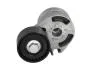 Ролик ремня приводного натяжной (VKM33061) SKF