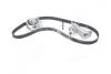 Ремкомплект ГРМ AUDI/SEAT/SKODA/VW A4/A6/Exeo/Superb/Passat "1,8-2,0 "95-10 VKMA01918