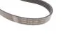 Поликлиновой ременный комплект SKF VKMA36055 (фото 3)