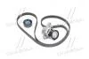Комплект ремня ГРМ  SKF VKMA 36209