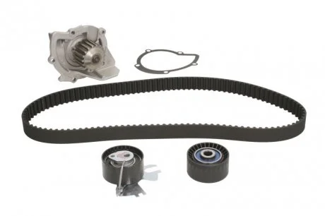 Ремкомплект ГРМ + помпа CITROEN/FIAT/FORD/PEUGEOT C4/C5/C8/Jumpy/Scudo/Focus/308 "2,0D "06>> SKF VKMC03205
