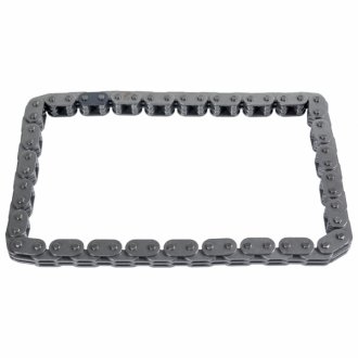 Ланцюг масляного насосу (кількість ланок: 54) VOLVO C30, S40 II, S80 II, V50, V70 III FORD C-MAX, FIESTA V, FOCUS C-MAX, FOCUS II, FOCUS II/KOMBI, GALAXY II, GALAXY MK II, MAVERICK 1.8-2.3LPG 10.00- SWAG 50940460 (фото 1)