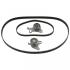 Комплект ГРМ Mitsubishi Pajero II/III 2.5TD/TDi 90-/L200/L300/L400 2.5D/TD 86-07 (25x163z) 80102022