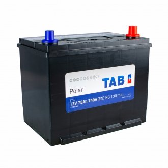 Аккумулятор TAB 246 875 (фото 1)