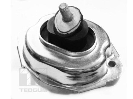 Підвіска TEDGUM 00088534 (фото 1)