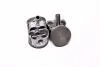Поршні +0.50mm (к-кт на двигун) Mazda6 GH 2.0 TEIKIN 42216050 (фото 2)
