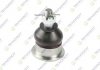 TEKNOROT HONDA Шаровая опора предн.верхн.M12x1.25 Accord VIII 08- H-365