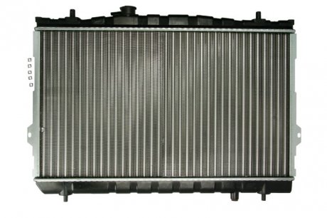 Основной радиатор (двигателя) THERMOTEC D70517TT (фото 1)