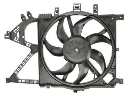 Вентилятор, охлаждение двигателя THERMOTEC D8X006TT (фото 1)