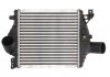 Радиатор охлаждения воздуха THERMOTEC DAM013TT (фото 1)