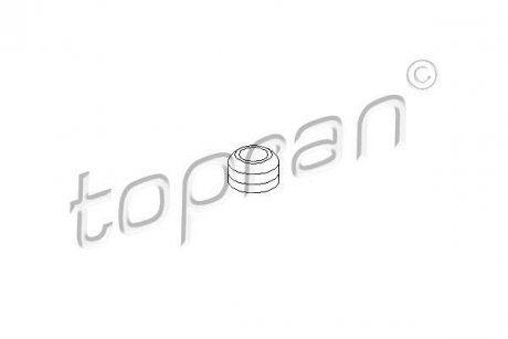 Прокладка, болт крышка головки цилиндра TOPRAN / HANS PRIES 100291