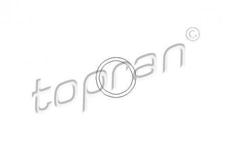 Ущільнююче кільце TOPRAN / HANS PRIES 104 505 (фото 1)