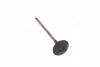 Клапан випускний Toyota Camry 01-06 RAV4 Avensis Lexus (вир-во Toyota)