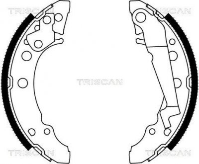 Комплект тормозных колодок TRISCAN 8100 29001