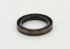 Уплотняющее кольцо TRISCAN 8550 10036 (фото 1)