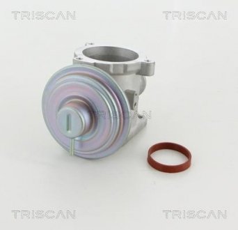 Клапан рецеркуляції відпрацьованих газів TRISCAN 881311003 (фото 1)