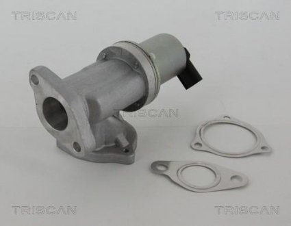 Клапан рецеркуляции отработавших газов TRISCAN 8813 43002 (фото 1)