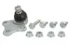 Шаровая опора CITROEN - PEUGEOT Berlingo/Xsara/Xsara Picasso/ZX/Partner TRW JBJ706 (фото 1)