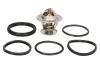 Термостат AUDI 100/80/A6/Cabriolet FORD Escort/Orion SEAT 124/Cordoba/Ibiza/Toledo VW Caddy/Golf/Jet TH1439.87J