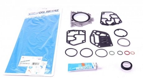 Комплект прокладок двигуна VICTOR REINZ 08-35038-01 (фото 1)