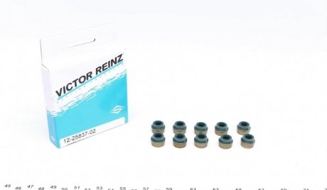 Комплект прокладок, стержень клапана VICTOR REINZ 12-25837-02 (фото 1)