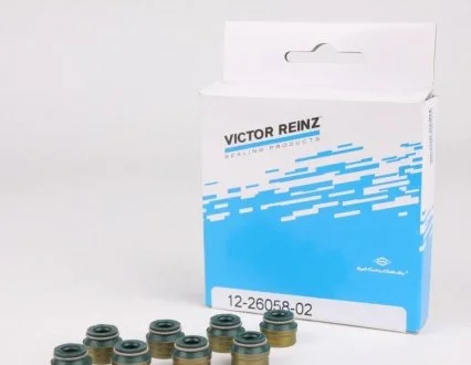 Комплект сальників клапану DIVERSE VICTOR REINZ 12-26058-02