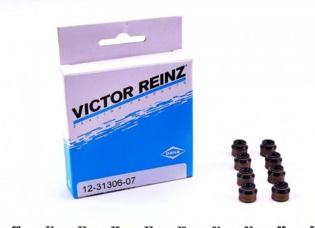Комплект сальників клапану CITROEN/PEUFEOT/FIAT 2,0HDi 99- VICTOR REINZ 12-31306-07 (фото 1)